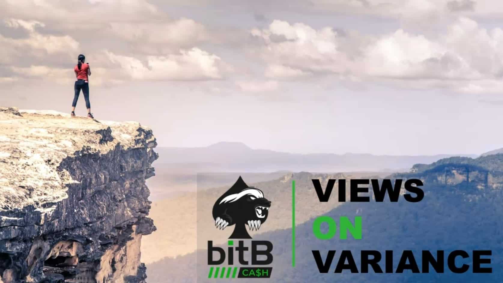 Views on Variance